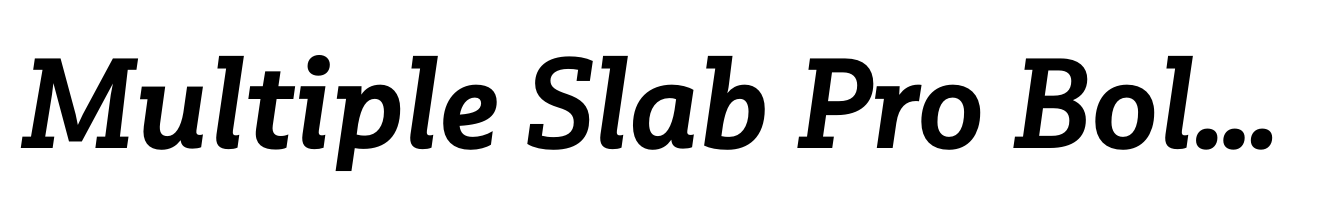 Multiple Slab Pro Bold Italic